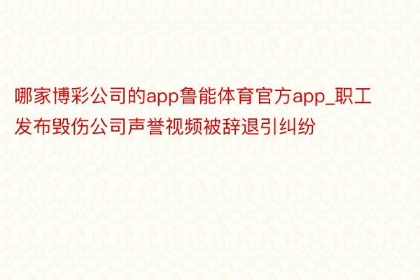 哪家博彩公司的app鲁能体育官方app_职工发布毁伤公司声誉视频被辞退引纠纷